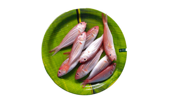 Sankara / சங்கரா 1Kg