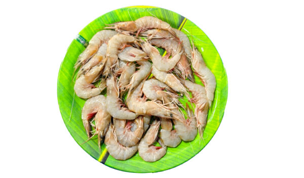 Prawn Big / பெரிய இறால் 1 Kg