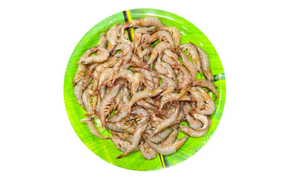 Prawn Small / சிறிய இறால் 1Kg